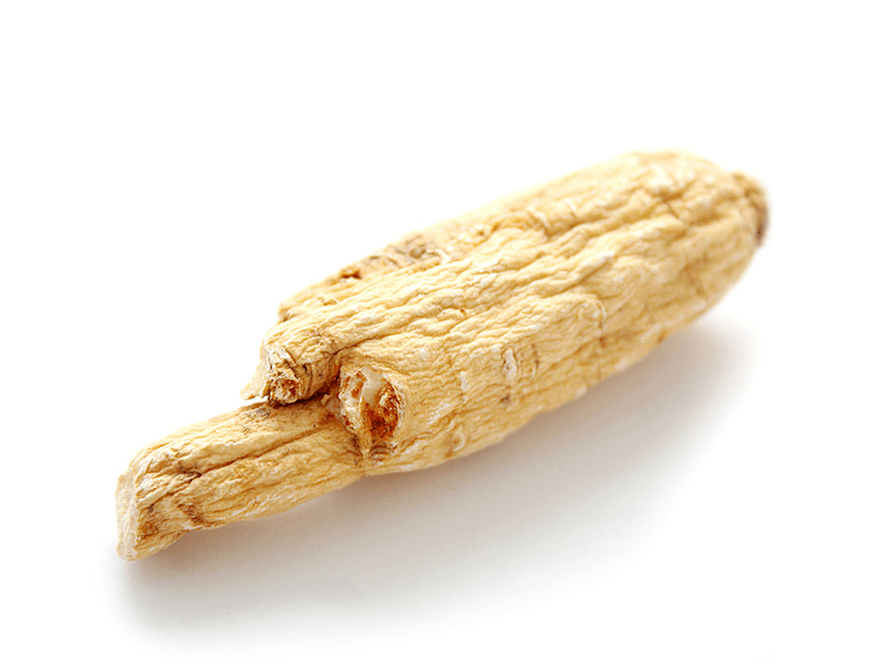 Aralia juur potentsi tugevdamiseks